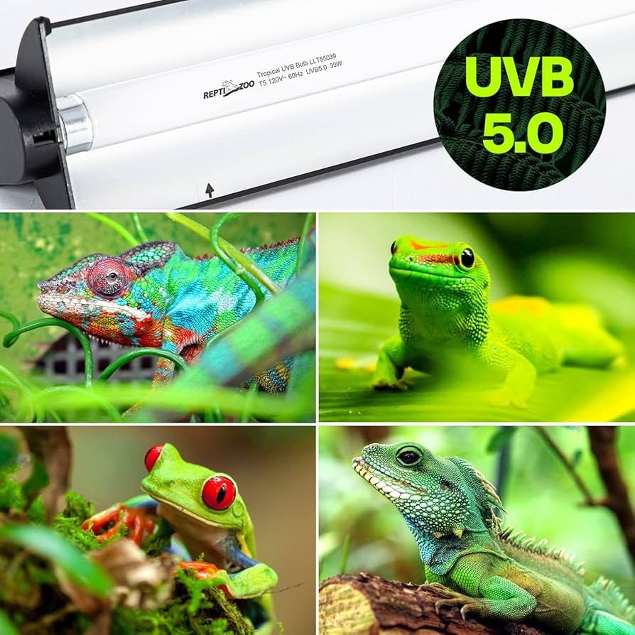 Amazon.com : REPTI ZOO 39W Reptile T5 HO UVB Lighting Combo